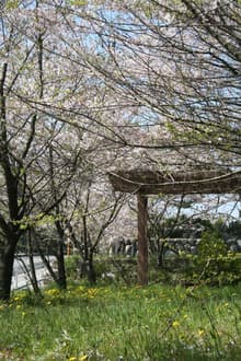 庭ごころ