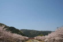 庭ごころ