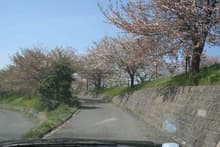 庭ごころ
